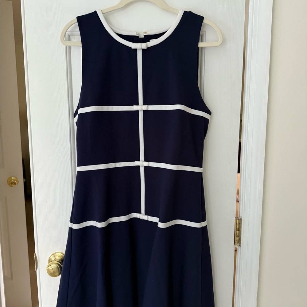 Lilly Pulitzer Blue and White A-Line Midi Dress